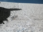 8.28.06 Mt. Adams 186 